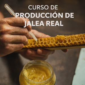 Curso de Producción de Jalea Real – Modalidad Virtual (grabada) y Presencial