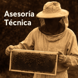 Asesoría Técnica Apícola – HIMPI