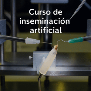 Curso de Inseminación Artificial de Abejas Reinas – Modalidad Presencial o Virtual